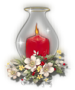 VEA LAS NUEVAS PRESENTACIONES!!!!